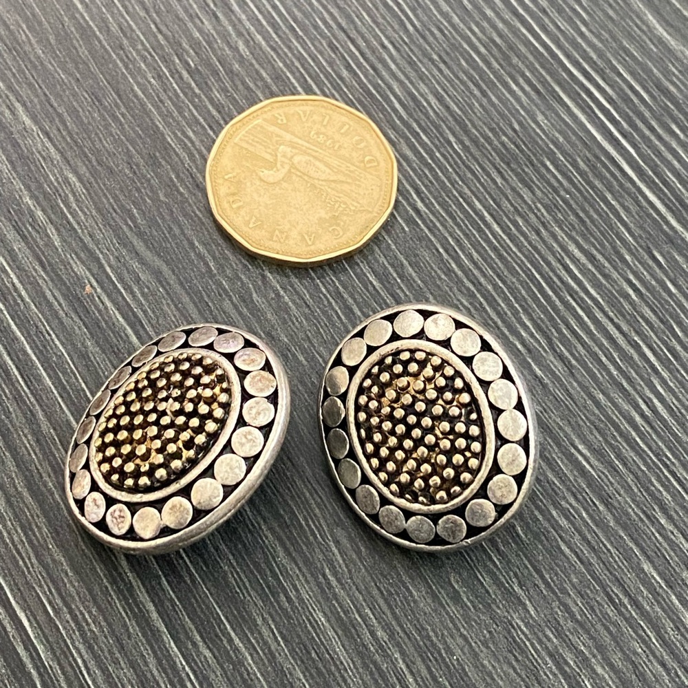Elegant Silver and Gold-Toned Earrings